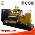 Diesel Lovol Engine Power Generator CE/OEM